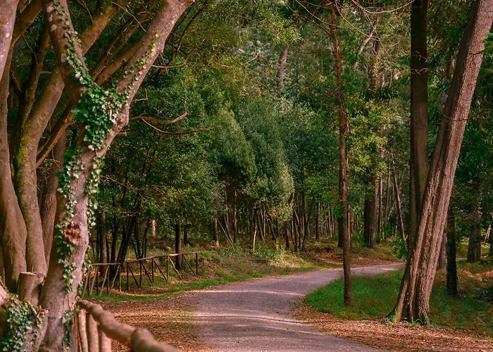 Apartman Marginal Oceanica *